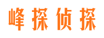 易门峰探私家侦探公司